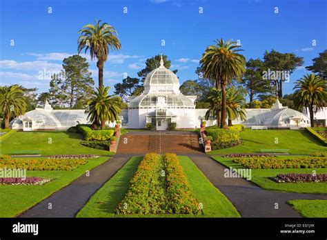 The Victorian Conservatory Of Flowers Botanical Garden In Golden Gate
