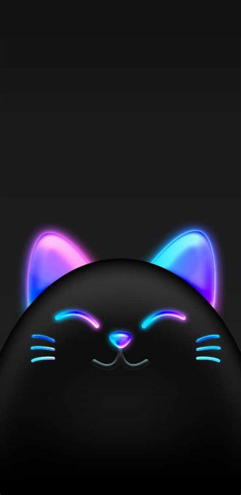 Neon Cat Wallpapers Top Free Neon Cat Backgrounds Wallpaperaccess
