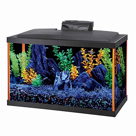 Best 10 Gallon Fish Tanks A Complete Ranking Guide Betta Care Fish Guide