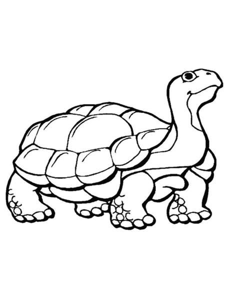 Free Wild Animals Coloring Pages Download Free Wild Animals Coloring