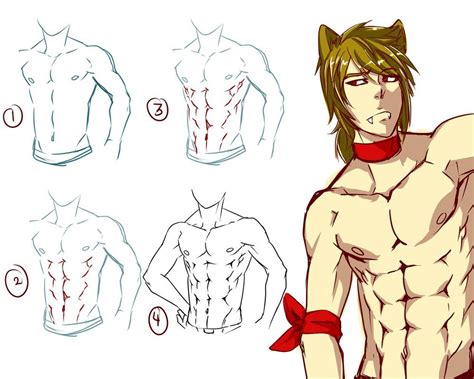 Https://tommynaija.com/draw/how To Draw A Guy With Abs
