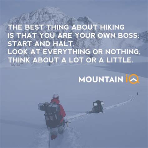 Mountain Quotes Epic Slogans About Hiking And Climbing Mountain Iq