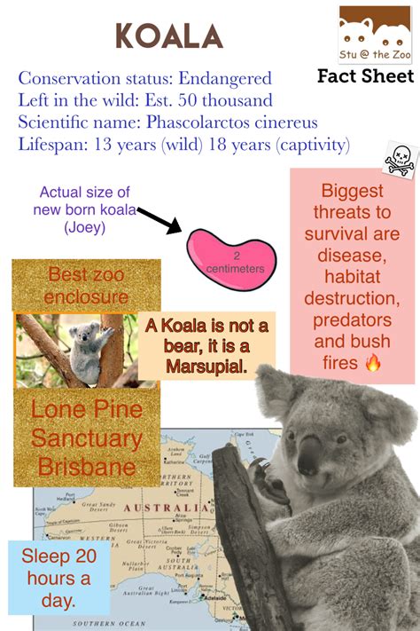 Animal Fact Sheets – Everything you need to know about zoos and