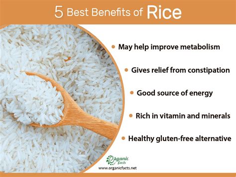 Benefits Of Rice Artofit