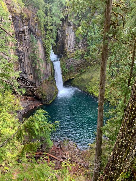 3 Hikes In 1 Day Umpqua National Forest Adventures In Life And Travel