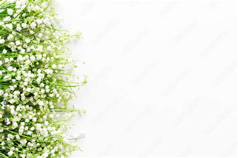 Lily Of The Valley Flowers Frame Spring Background On White Desk Top
