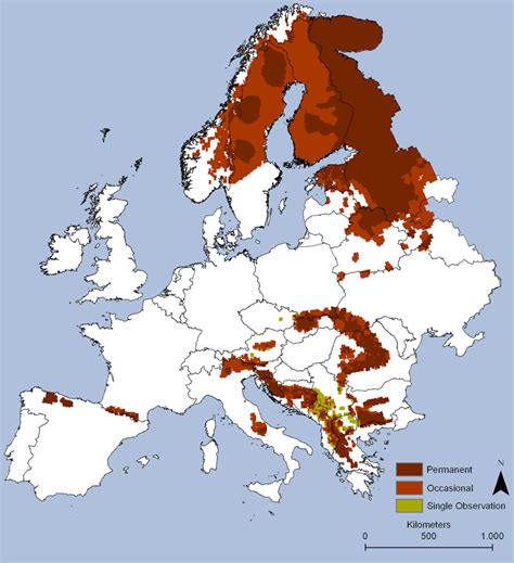 Bears In Europe Mapped Vivid Maps