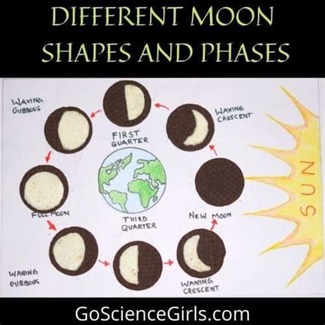 Explore Phases Of The Moon Using Oreo Cookies Worksheets And Lesson