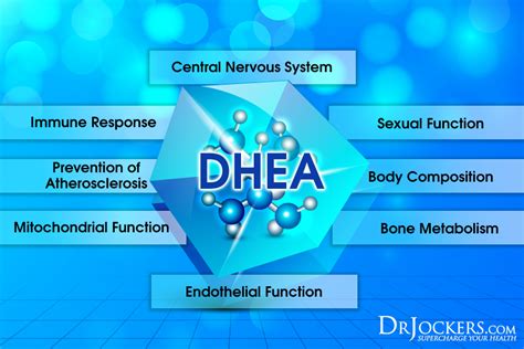 10 tips to boost dhea levels for healthy skin and hormones dhea hormones happy hormones