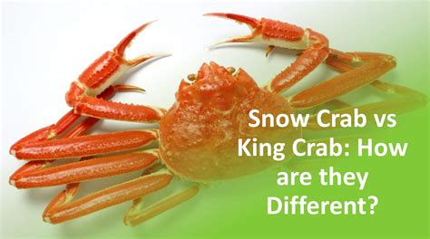 Snow Crab Legs Vs King Crab Legs