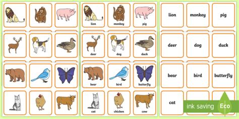 Animals Matching Cards Creat De Profesori