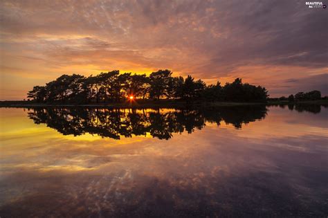 Lake Viewes Great Sunsets Trees Beautiful Views Wallpapers 2048x1365