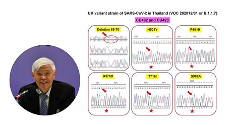 โควิดสายพันธุ์อังกฤษ แพร่ผู้ป่วยโควิด คลัสเตอร์ทองหล่อ พบแล้ว 24 ราย แพร่เร็วกว่าปกติ 1.7 เท่า ห่วงสงกรานต์ หวั่นแพร่กระจายเพิ่ม 170 เท่า นพ.ยง ระบุโควิด-19 สายพันธุ์อังกฤษกลายพันธุ์ พบในประเทศไทย ...
