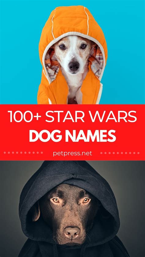 100 Star Wars Dog Names Dog Names Inspired By Star Wars