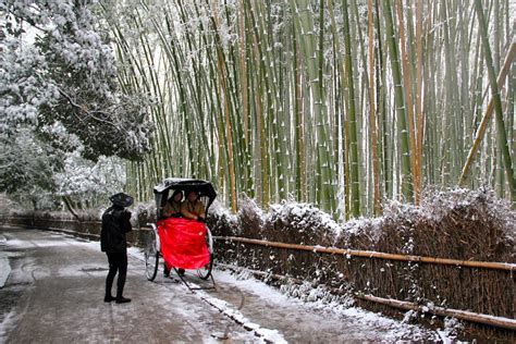 Kyotoarashiyamasagano Bamboo Forest