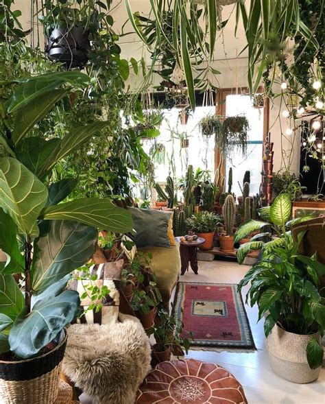 Pin By Barbarab On Jungalows Room With Plants House Plants Indoor