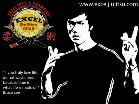 49 Gracie Jiu Jitsu Wallpaper Wallpapersafari