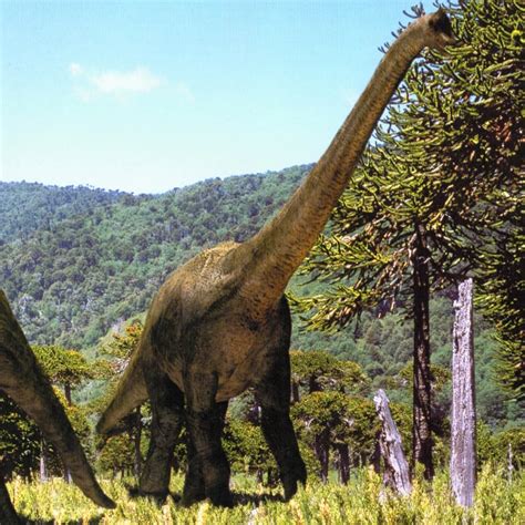 Brachiosaurus Dinotopia Fanon Wiki Fandom