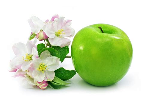 Download Wallpaper Apple Green With Flowers Apple Tree