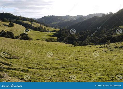 New Zealand Farmland Landscape With Rugged Hills H Stock Image