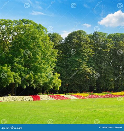 Summer Park With Beautiful Green Lawns And Flovers Stock Photo Image