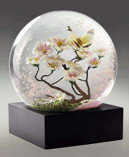 Butterfly Snow Globe By Coolsnowglobes Coolsnowglobes Amazon