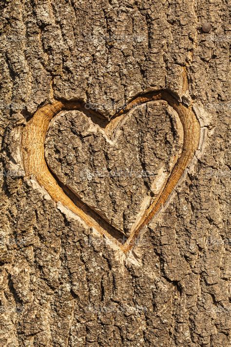 Heart Carved In The Bark Of A Tree — Stock Photo © Gashgeron 27435267