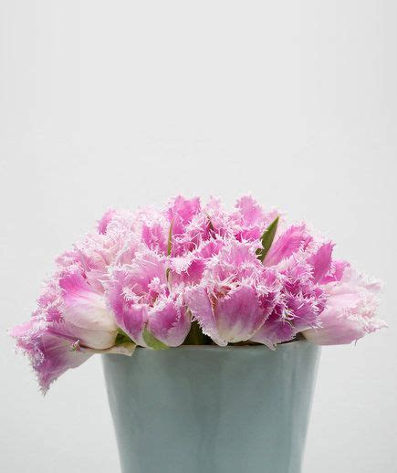 A White Vase With Pink Flowers In It