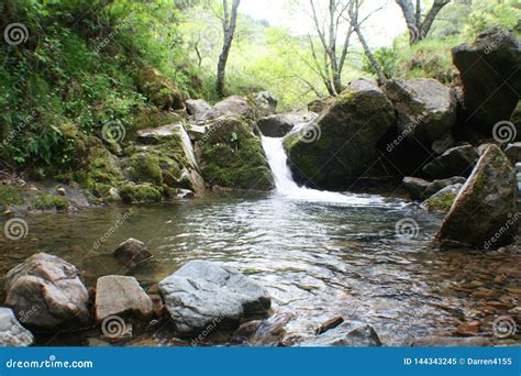 Scenic Creek In Tropical Jungle High Quality Stock Photo Stock Image