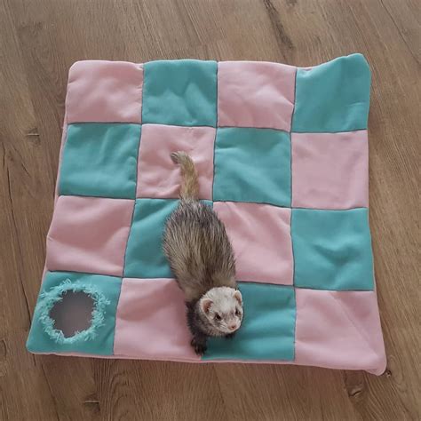 Post your home made cages, hammock holders, tunnel systems, etc. Marble on Instagram: ""Mom made me a new toy"! #ferretgram #ferret #cuteness #cuteferrets # ...