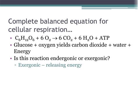 What Are The Reactants In The Equation For Cellular Respiration Adp