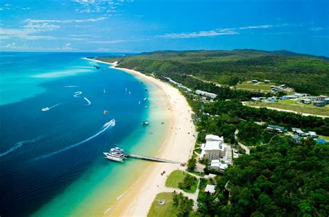 Tangalooma Beach Day Cruise Tour From Brisbane Gray Line