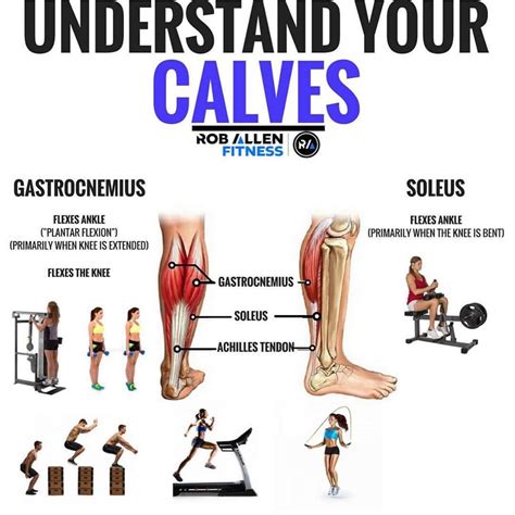Grow And Sculpt Strong Calves With These 6 Body Weight Exercises