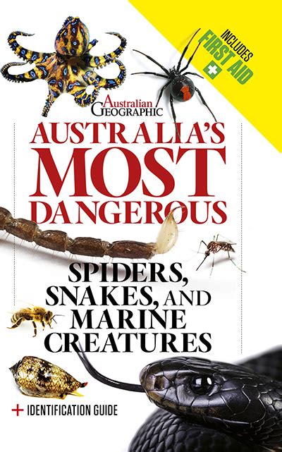 Australian Spiders The 10 Most Dangerous Australian Geographic