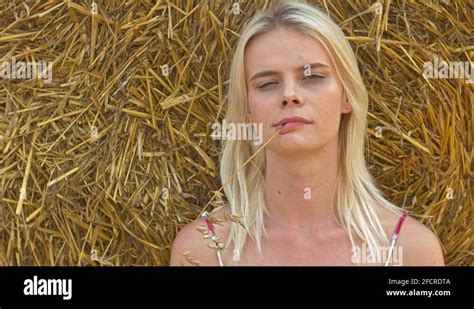 Hay Stem Stock Videos And Footage Hd And 4k Video Clips Alamy