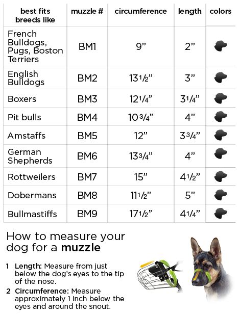 Hover over the breed info tab at the top of this page to learn all about the breed. Boston Leather Dog Muzzles | Pro Collection | Angel Pet ...