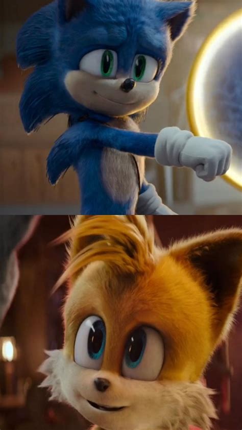 Sonic And Tails Wholesome Brothers Like Friendship In This Movie Will