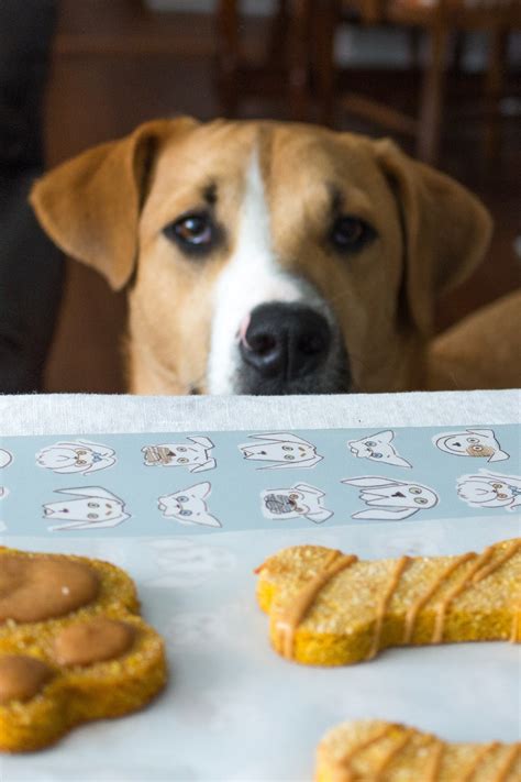 Homemade Grain Free Dog Treats A Slice Of Sweet