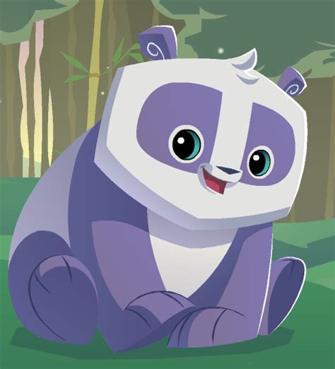 Panda Animal Jam Wiki Fandom
