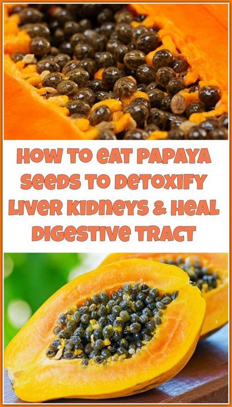 How To Eat Papaya Seeds To Detoxify Liver Kidneys And Heal Digestive