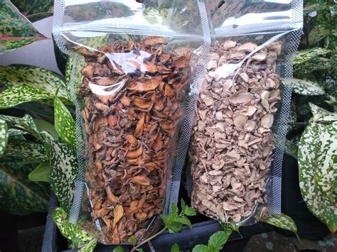 We did not find results for: KUNIR MANGGA IRIS KERING, KUNYIT IRIS KERING | Curcuma Mentari