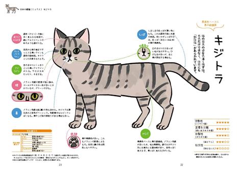 X Knowledge 猫は毛色と模様で性格がわかる