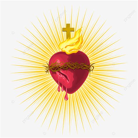 Sagrado Corazón De Jesús Resplandeciente Png Dibujos Santo Espiritual