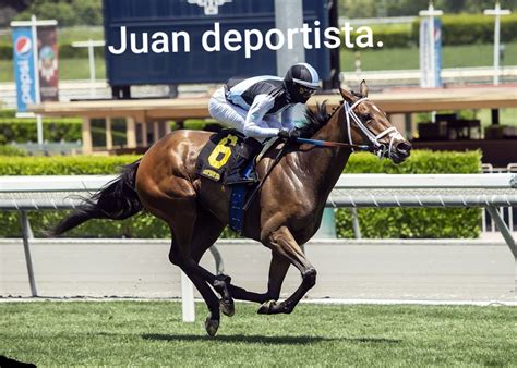 We did not find results for: Top memes de Juan en español :) Memedroid