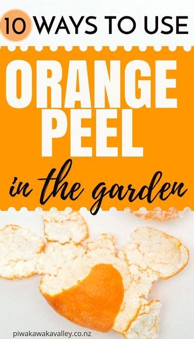10 Brilliant Ways To Use Orange Peels In The Garden Organic Gardening