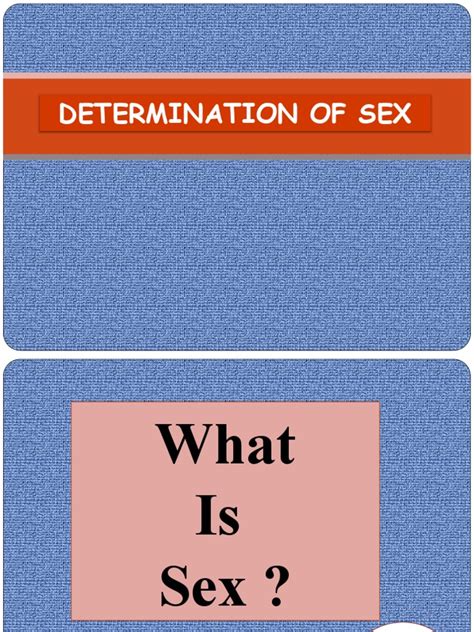 determination of sex pdf sex fetus
