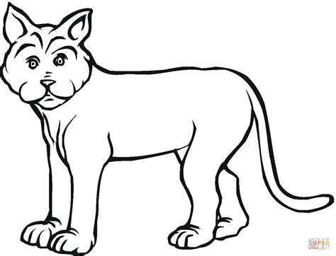 Wild Cat Colouring Pages - ClipArt Best