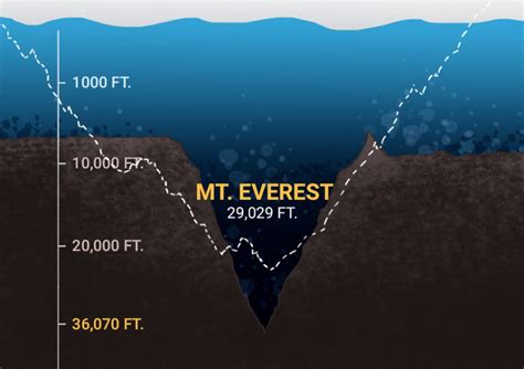 Palung mariana adalah jurang yang terletak di dasar laut, tepatnya di berdasarkan pemetaan laut dari universitas new hampshire di tahun 2014, kedalaman palung mariana mencapai 10.984 meter. Mariana Trench - Jurang Paling Dalam Di Dunia - Umpan