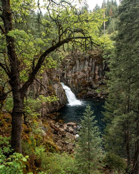 4 Incredible Mount Shasta Waterfalls Lita Of The Pack
