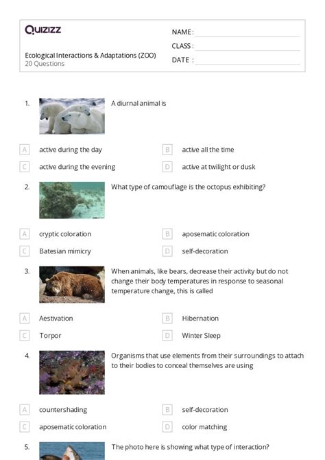 50 Animal Adaptations Worksheets For 11th Class On Quizizz Free